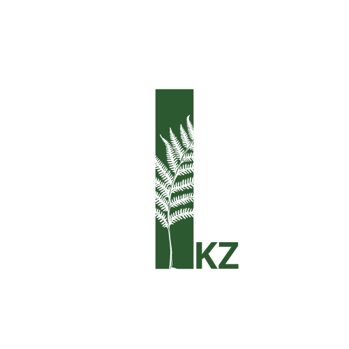 💡 No es el método, es el mindset