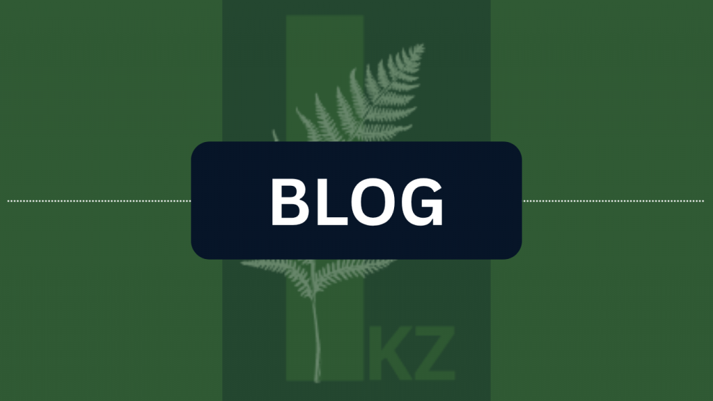 Blog de Iratxe Kaltzakorta